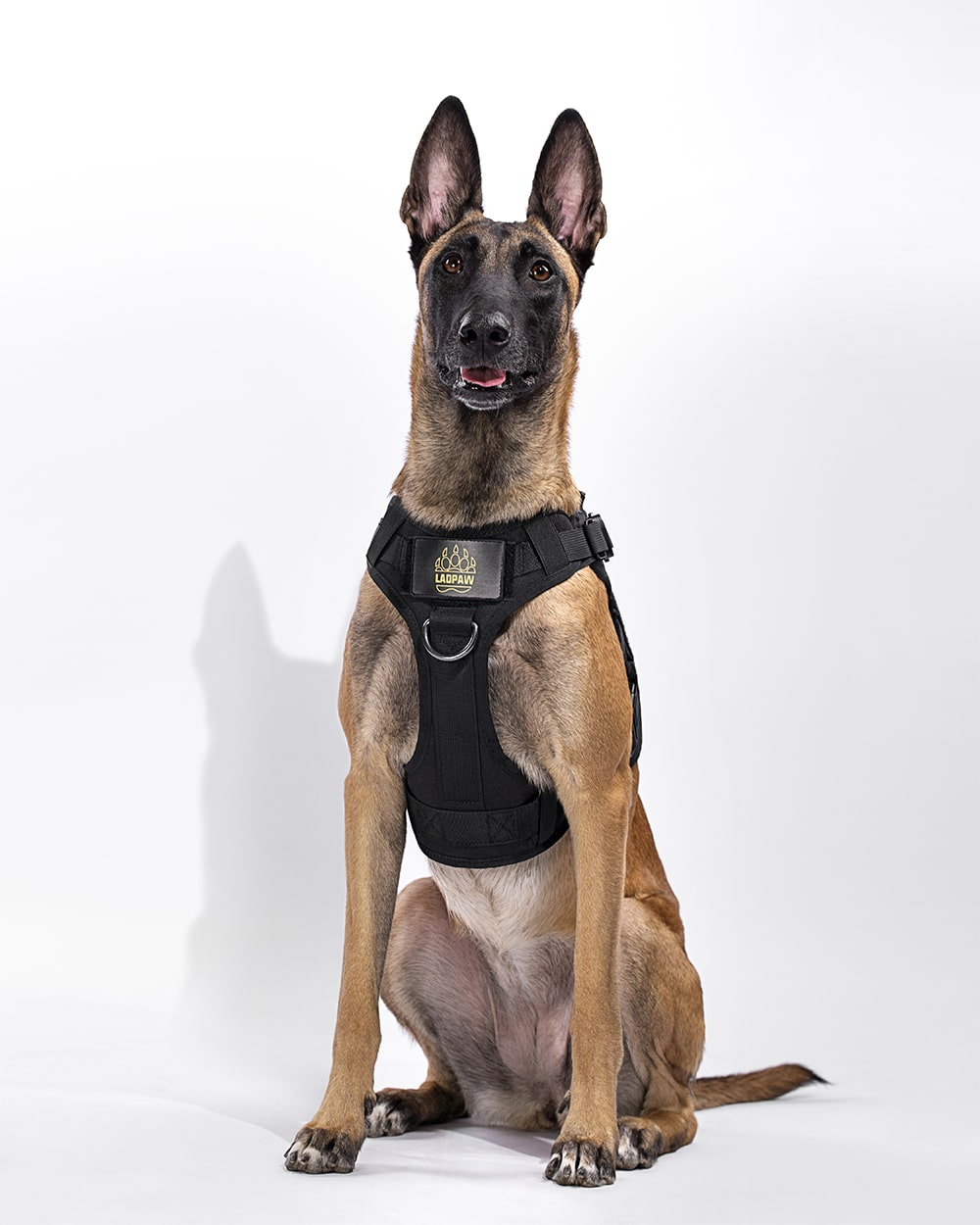 tactical dog harness black