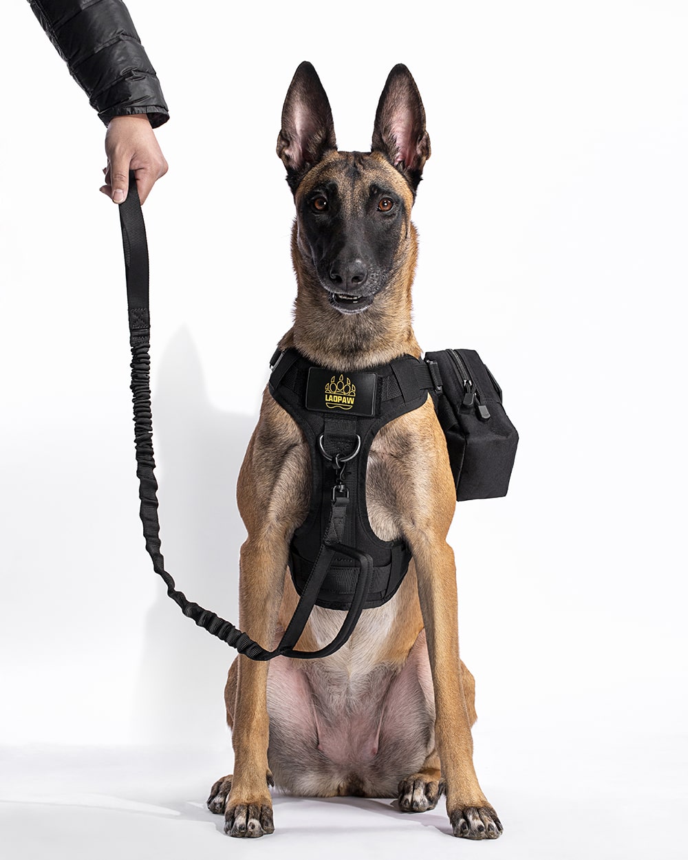 TACTICAL DOG GEAR KIT