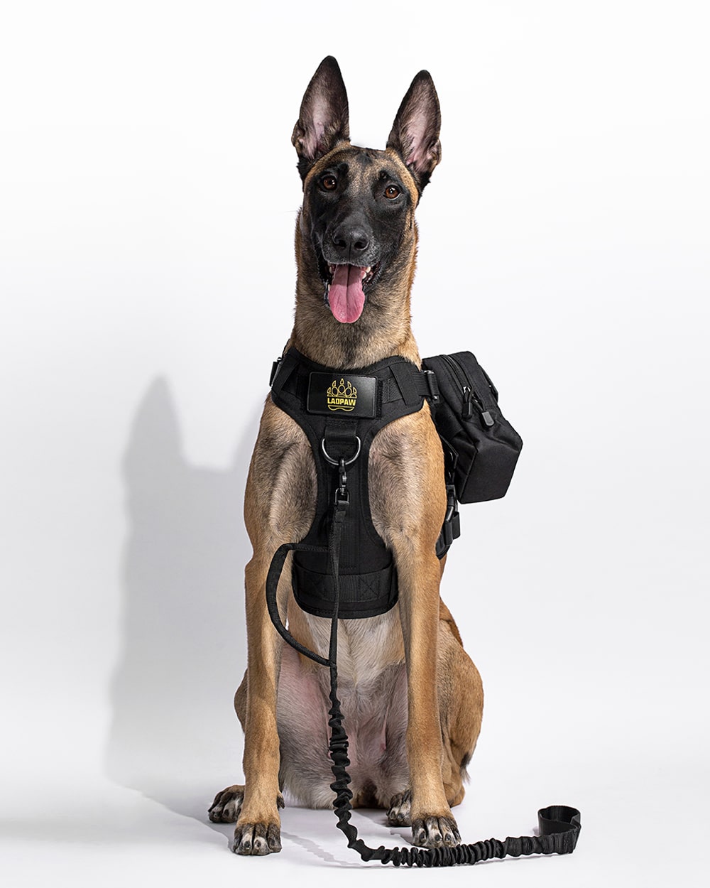 TACTICAL DOG GEAR KIT