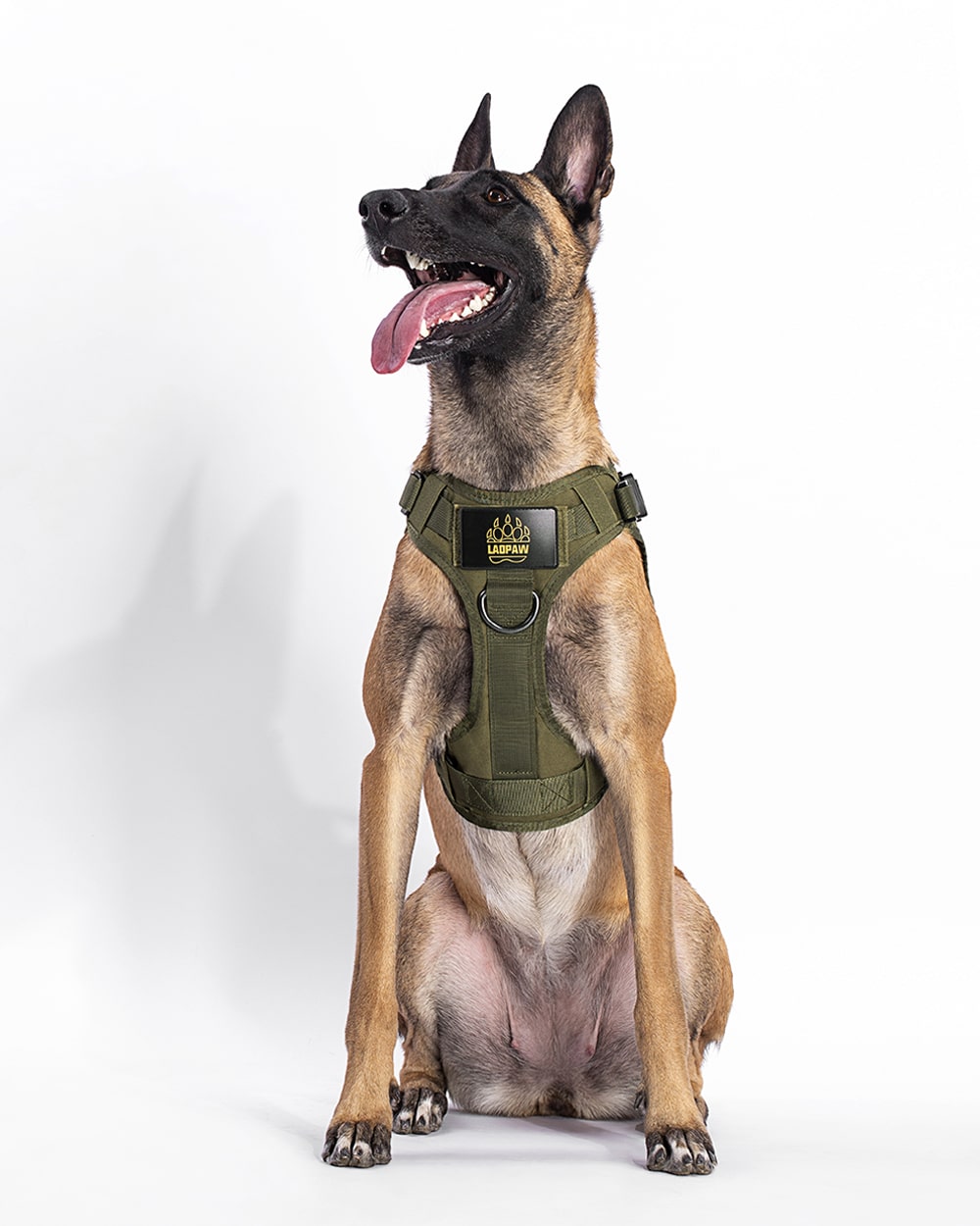 The best tactical dog harness 2022