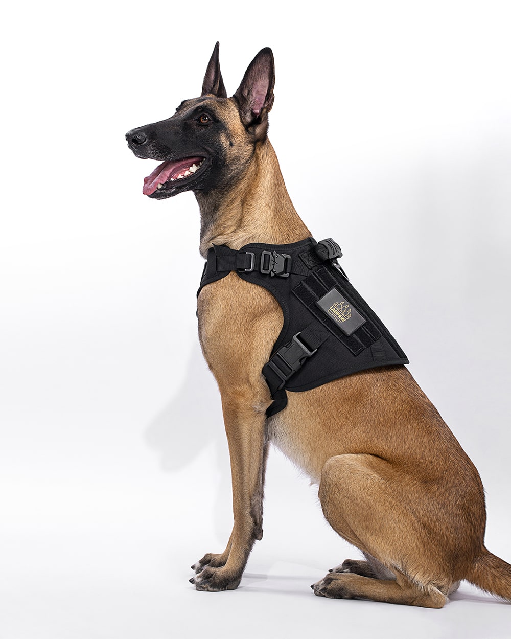 military dog vest black