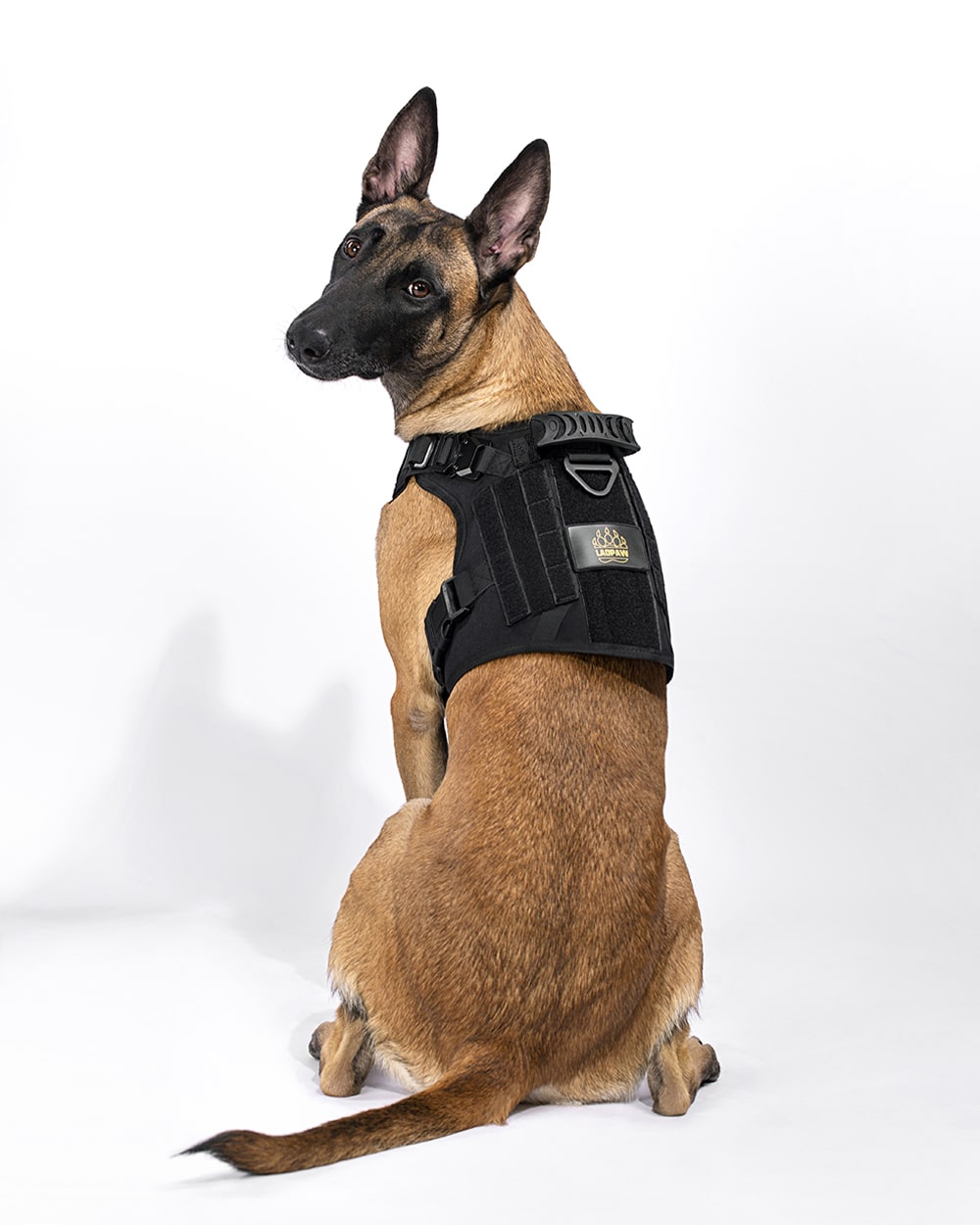 10 Best Tactical Dog Harness Vests of 2020 (Buy Guide)
