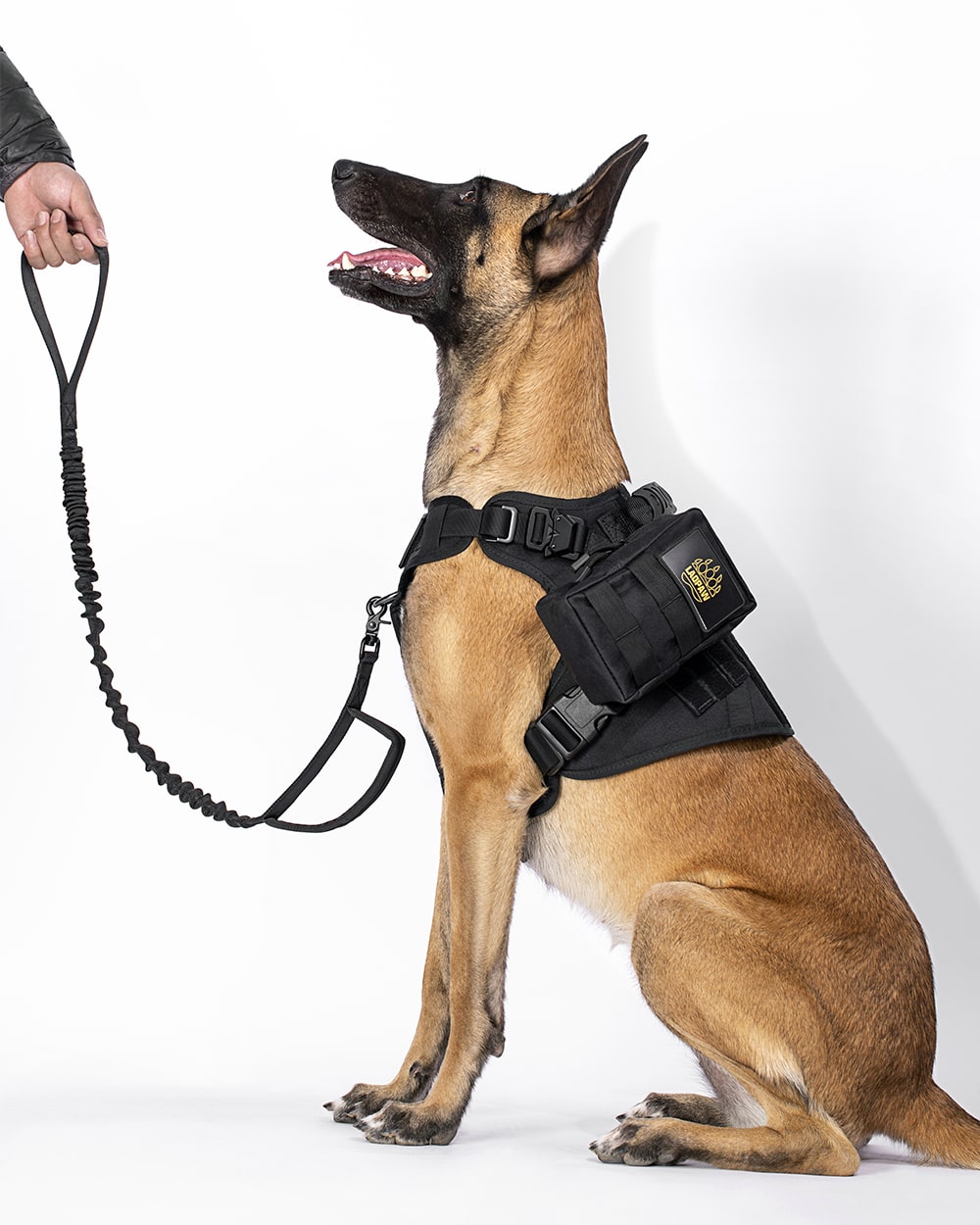 The Everything Dog Harness – No-Pull Dog Harness